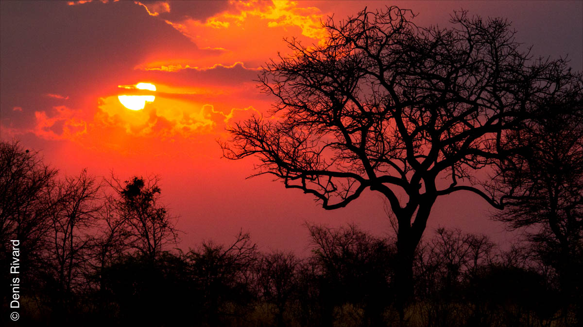 Sunset at Three Baobabs Camp by Marie-France and Denis Rivard ©